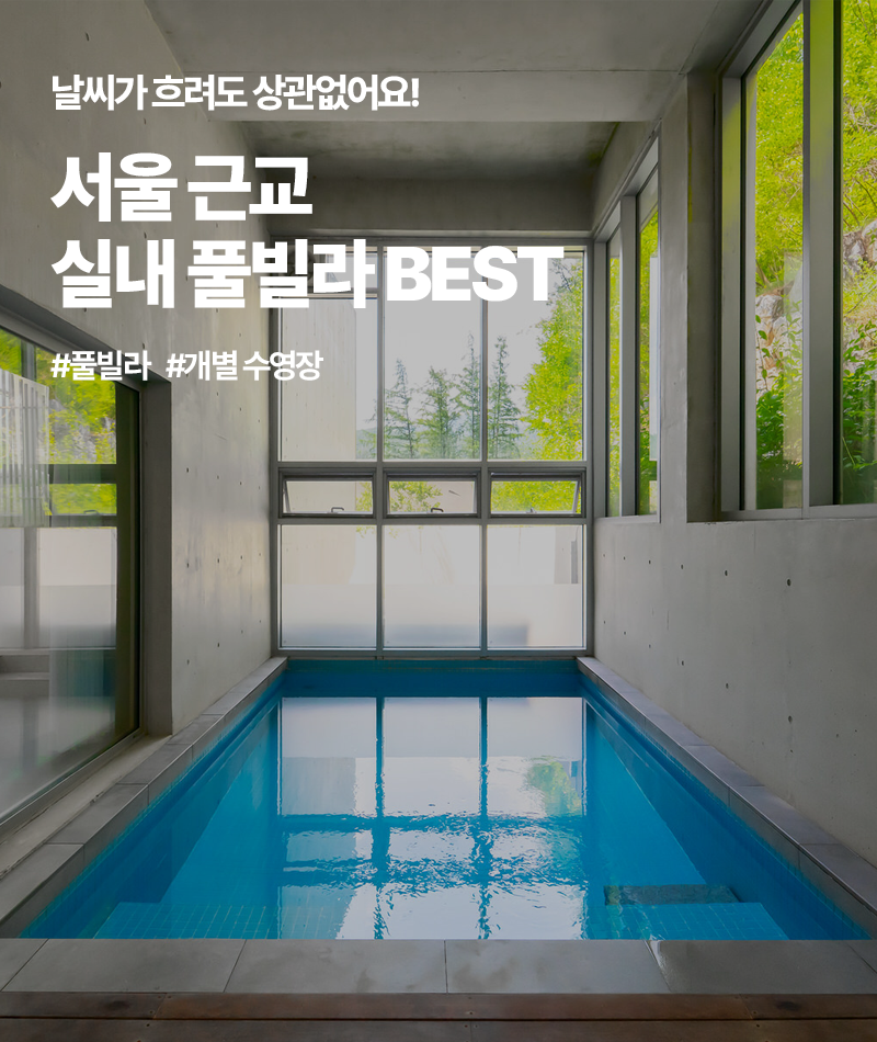 배너 이미지