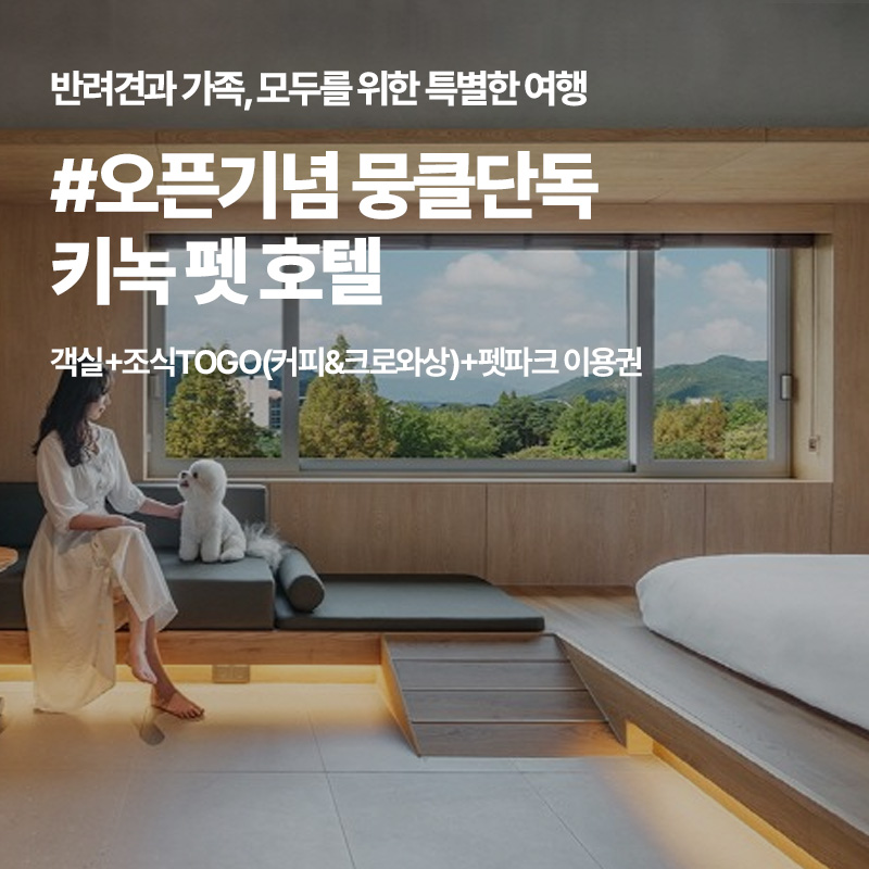 배너 이미지