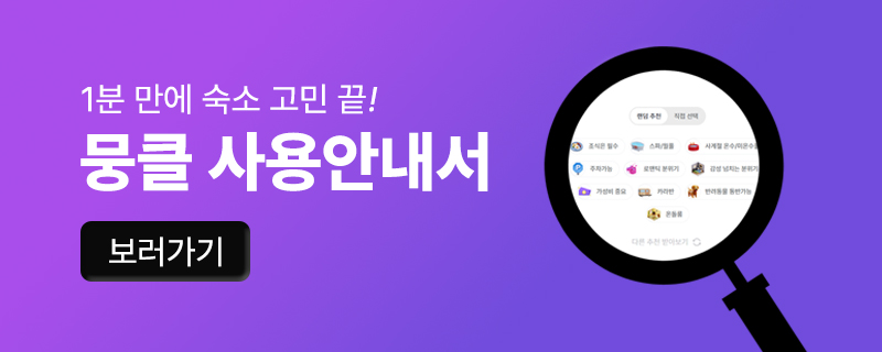 배너 이미지
